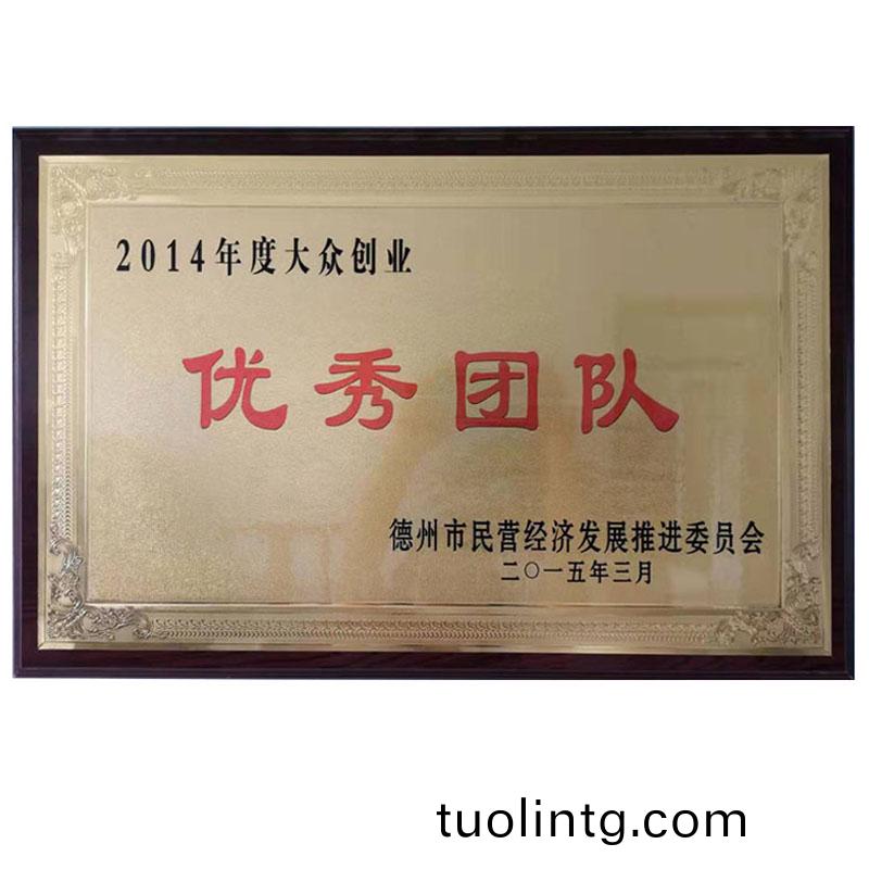 大(da)衆(zhong)創業(ye)優(you)秀糰(tuan)隊
