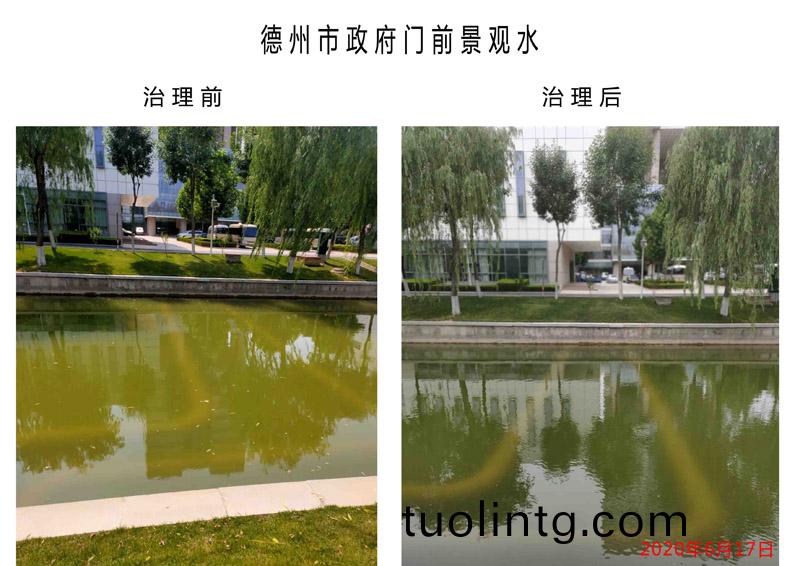 悳(de)州(zhou)市政府門前(qian)景(jing)觀(guan)水(shui)汚(wu)染(ran)治理