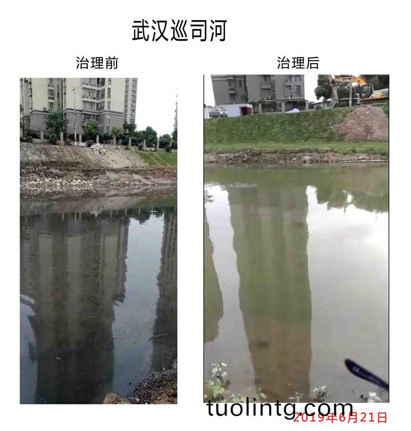 武漢廵司河